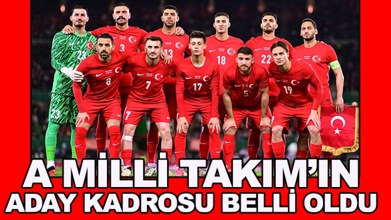 A Milli Takım'ın aday kadrosu belli oldu