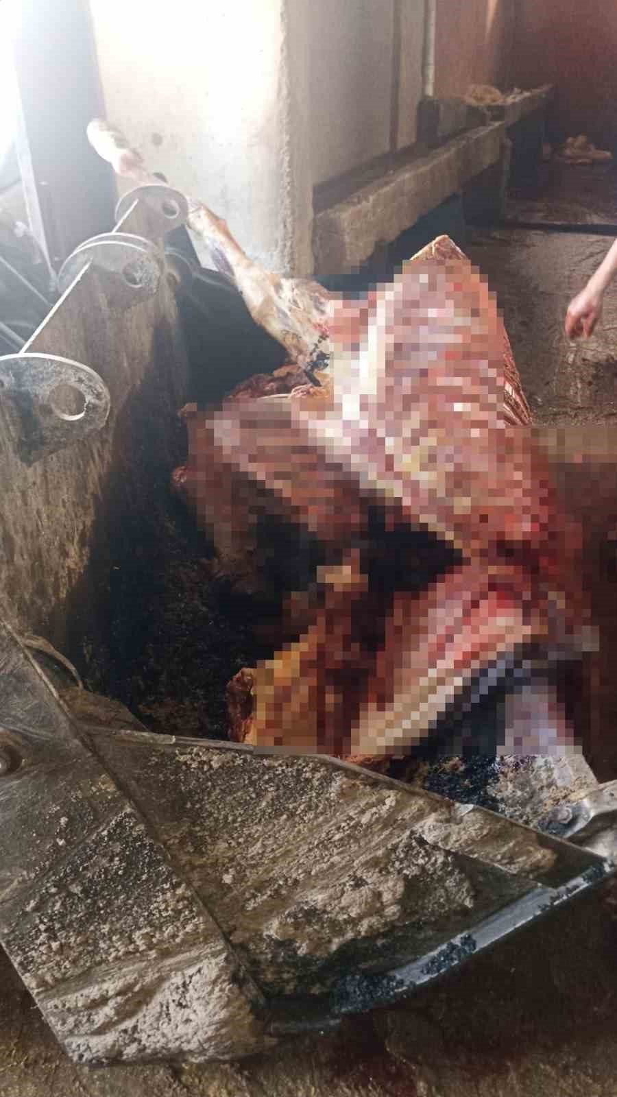Kebabın başkentinde 2,5 ton at eti ele geçirildi