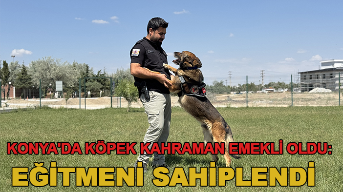 Konya'da köpek kahraman emekli oldu: Eğitmeni sahiplendi