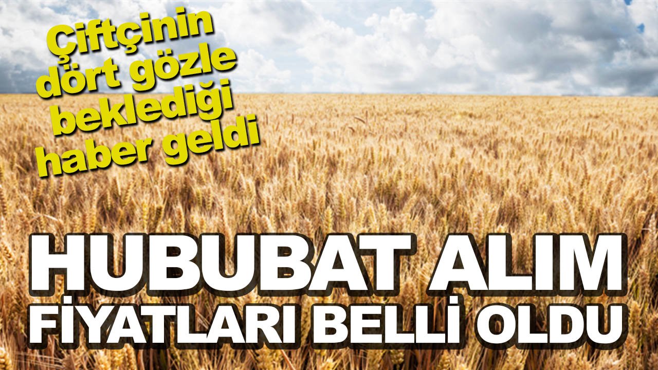 Çiftçinin dört gözle beklediği haber geldi! Hububat fiyatları belli oldu