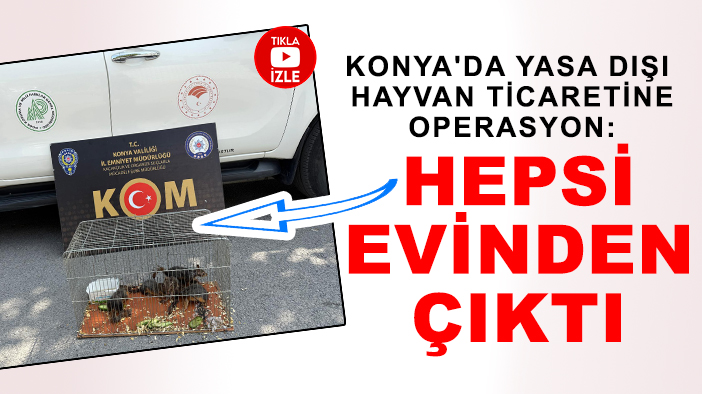 Konya'da yasa dışı hayvan ticaretine operasyon: 6'sı evinden çıktı