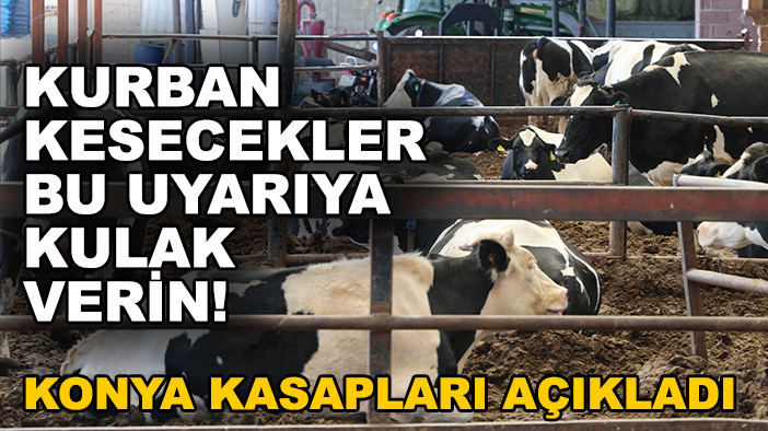 Kurban kesecekler bu uyarıya kulak verin! Konya kasapları açıkladı