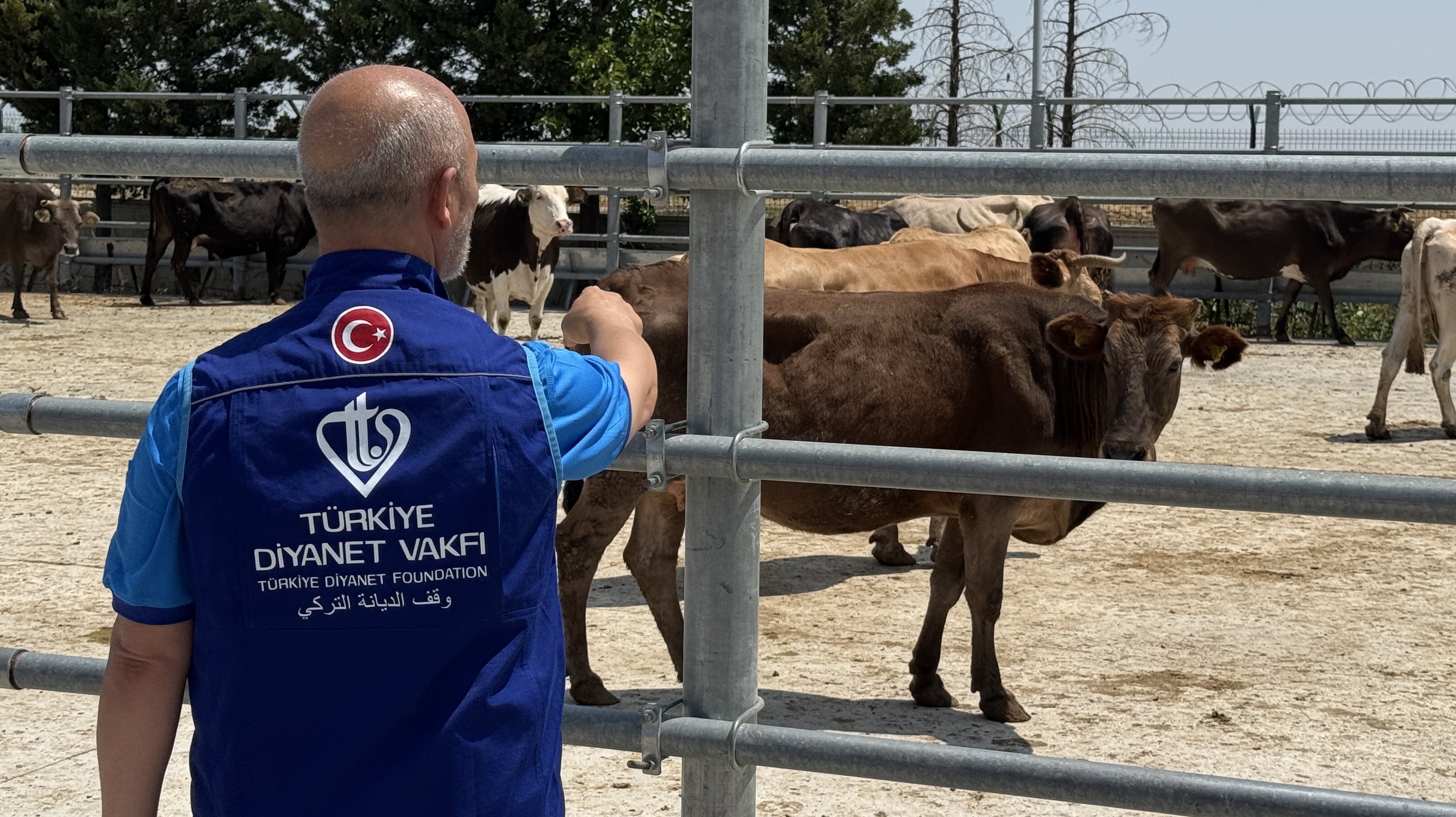Türkiye Diyanet Vakfı, Konya'da 4 bin kurban hissesinin ihtiyaç sahiplerine ulaştıracak