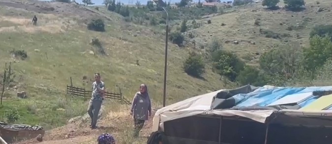 Ankara’da kurbanlıklar firar etti, vatandaşlar kovaladı