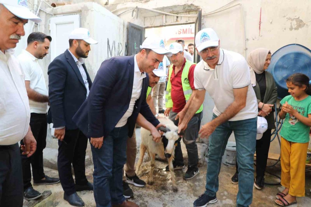 Yetim ailelere canlı kurbanlık dağıtıldı