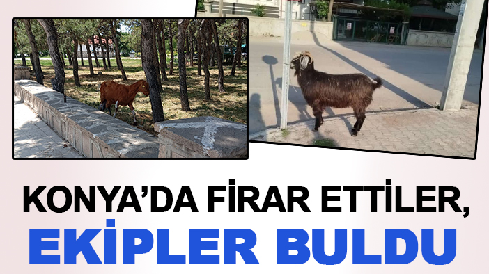 Konya’da firar ettiler, ekipler buldu