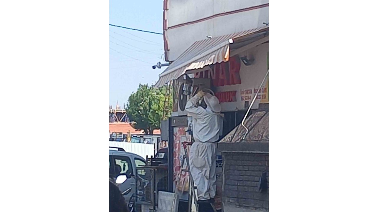 Konya'da oğul veren arı esnafın dükkanın önünde toplandı