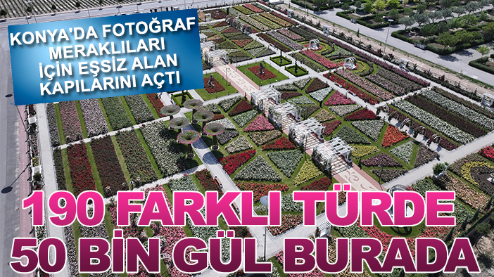 Konya'da fotoğraf meraklıları için eşsiz alan kapılarını açtı: 190 farklı türde 50 bin gül burada