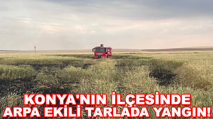 Konya'nın ilçesinde arpa ekili tarlada yangın!