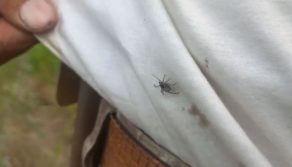 Kene kabusu sürüyor! Radarına giren yakalanıyor