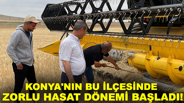 Konya'nın bu ilçesinde zorlu hasat dönemi başladı!
