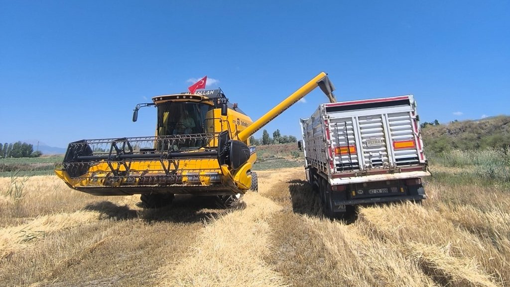 Konya'nın ilçesinde sezonun ilk arpa hasadı yapıldı