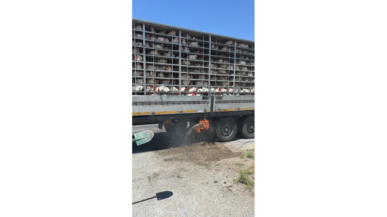 Konya'da canlı tavuk taşıyan TIR'da yangın paniği