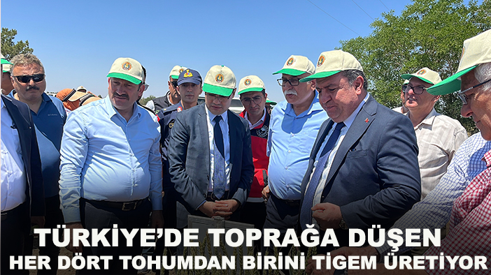 Türkiye’de toprağa düşen her dört tohumdan birini TİGEM üretiyor