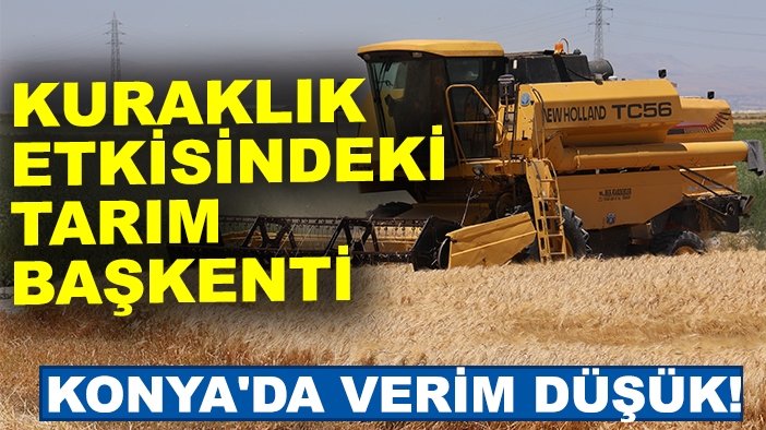 Tarım başkenti Konya'da, kuraklık nedeniyle yüzde 30 rekolte kaybı bekleniyor