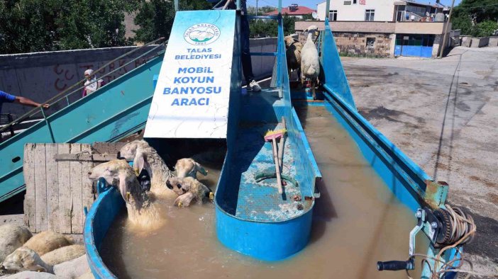 Küçükbaş hayvanlar keneye karşı "mobil banyo" ile hem dezenfekte ediliyor