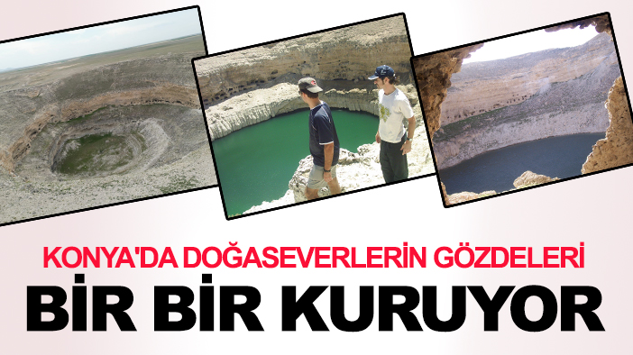 Konya'da doğaseverlerin gözdeleri bir bir kuruyor