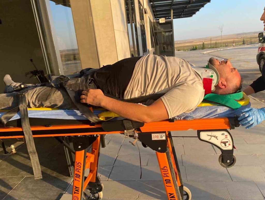 Konya'da otomobil koyun sürüsüne çarptı