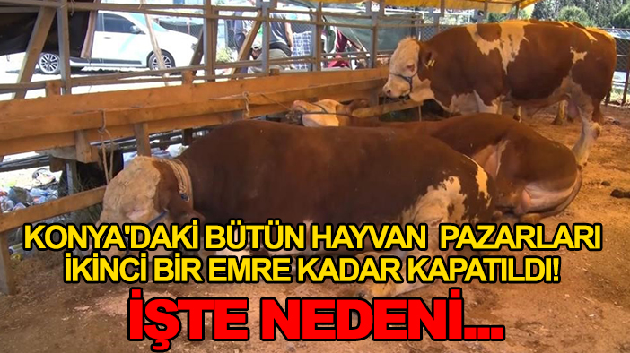 Konya'daki bütün hayvan pazarları ikinci bir emre kadar kapatıldı! İşte nedeni...