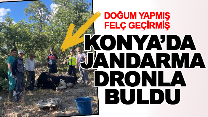 Konya'da jandarma dronla buldu: Doğum yapmış, felç geçirmiş