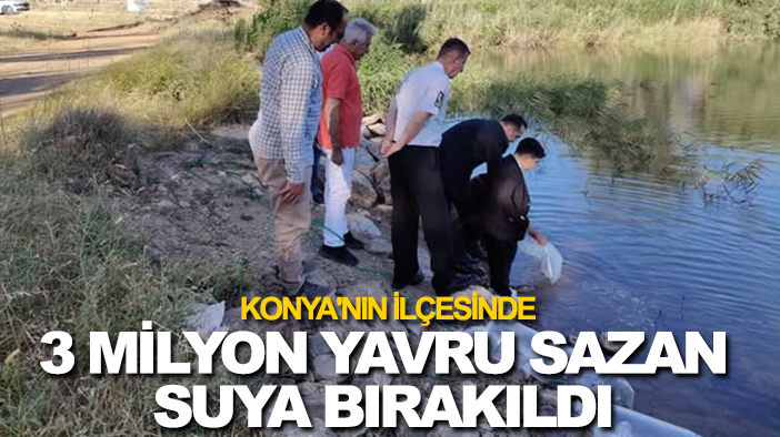 Konya'nın ilçesinde 3 milyon yavru sazan suya bırakıldı