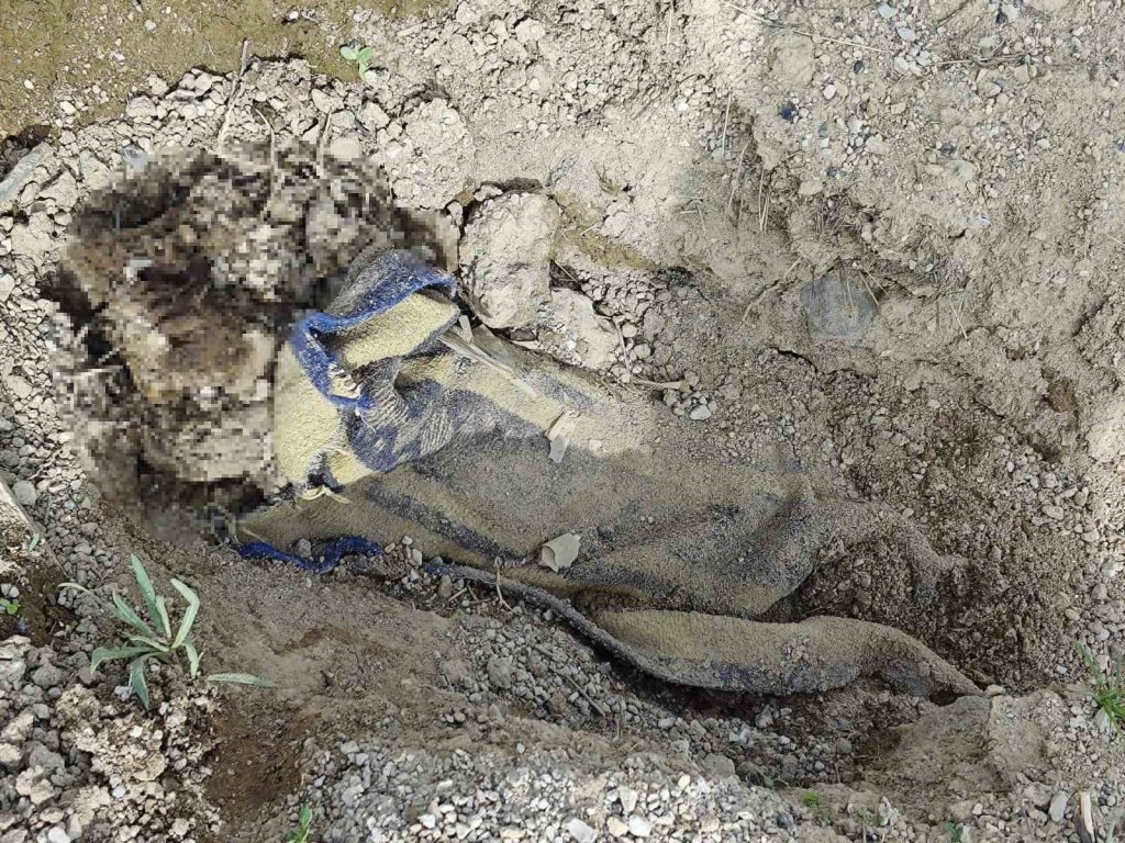 İstanbul’da öldürüp, Nevşehir’e gömmüşler