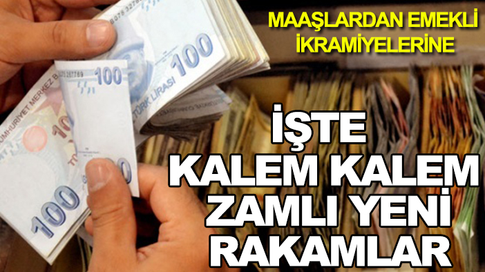 Maaşlardan emekli ikramiyelerine: İşte kalem kalem zamlı yeni rakamlar