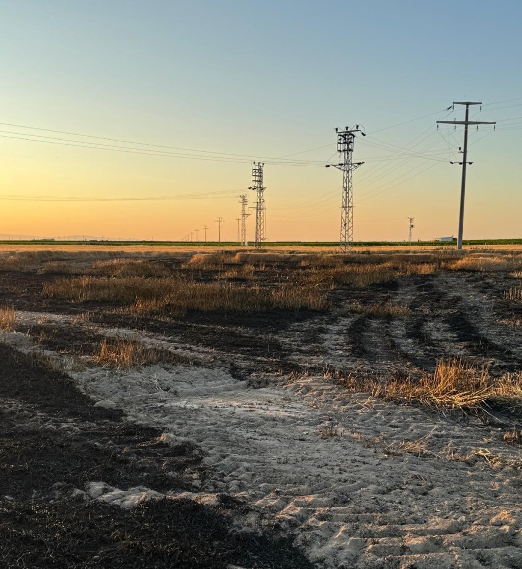Konya'da 15 dekarlık buğday tarlası küle döndü