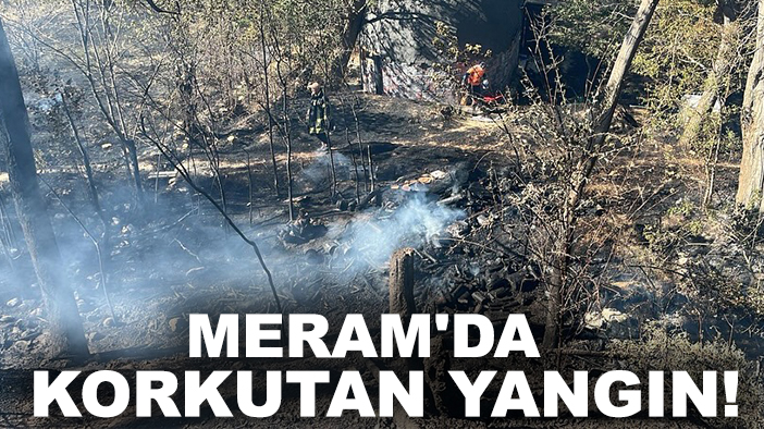 Son dakika: Meram'da korkutan yangın!