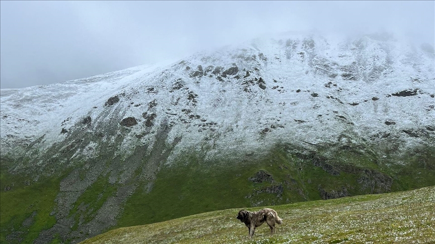 Rize ve Trabzon'un yüksek kesimleri temmuzda beyaza büründü