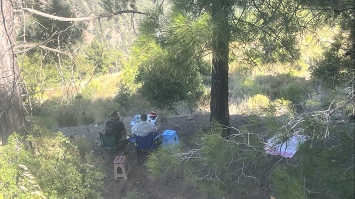 Ormanda piknik yapan 4 şahsa yasal işlem yapıldı