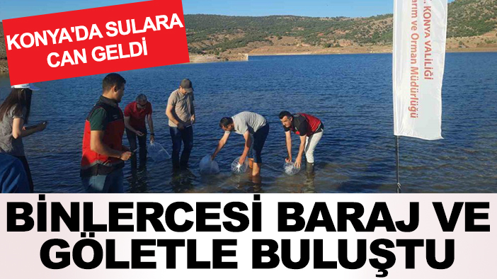 Konya'da sulara can geldi! Binlercesi baraj ve göletle buluştu