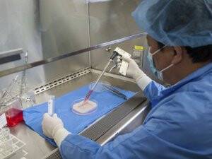 Tamamen işlevsel organ üretildi