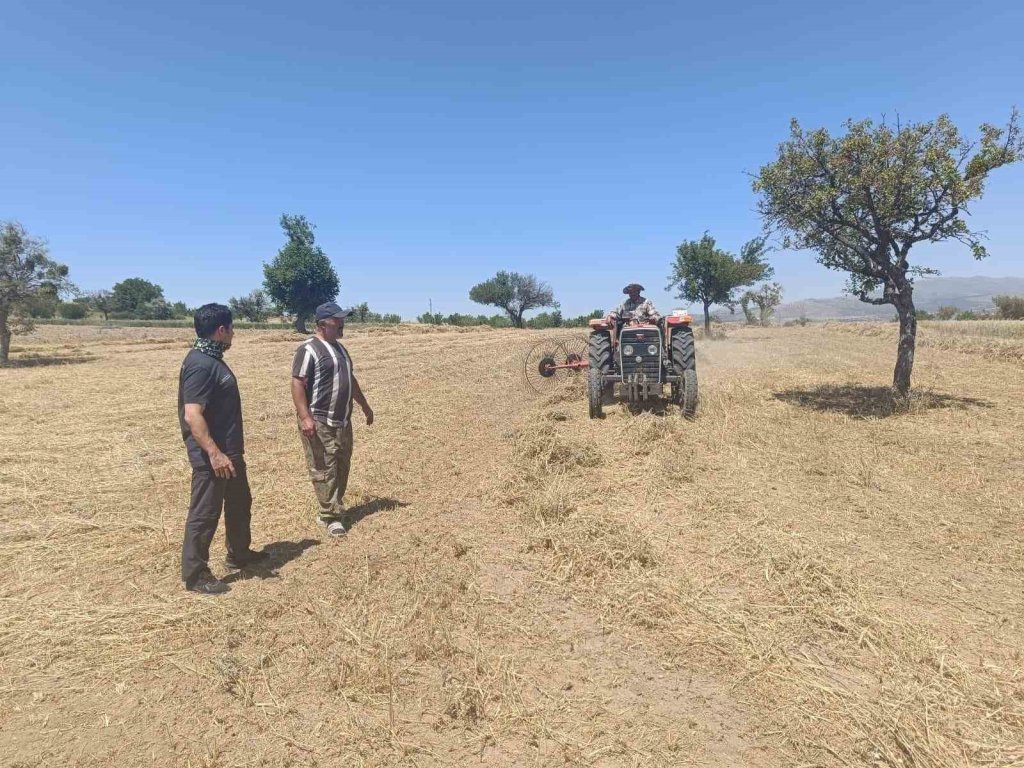Beyşehir'de hibe destekli ekimde hasat sürüyor
