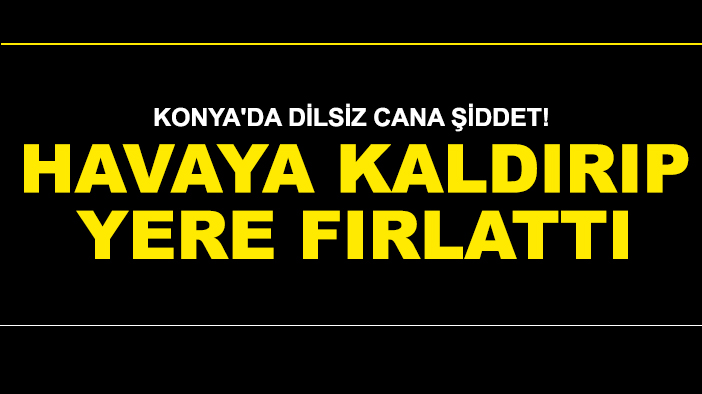 Konya'da dilsiz cana şiddet! Havaya kaldırıp yere fırlattı