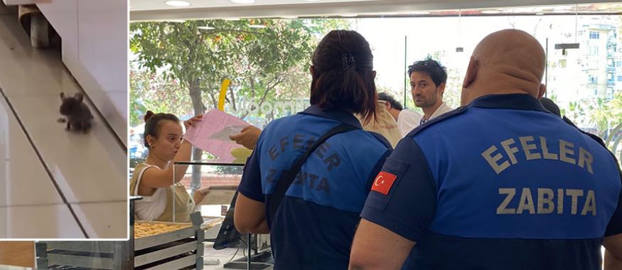 Baklavıcıda mide bulandıran fare görüntüleri: Ceza yağdı