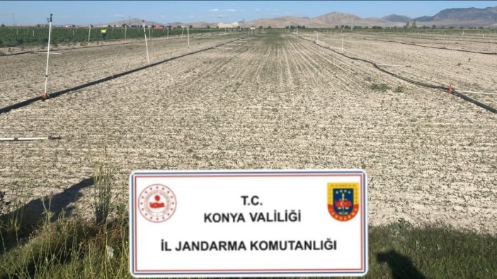 Konya’da jandarmadan  iki ilçede uyuşturucu operasyonları