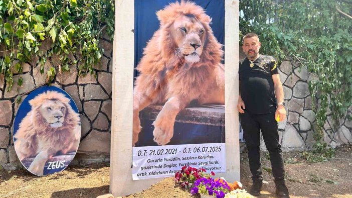 Saldırdığı çiftçiyi yaraladıktan sonra öldürülen aslanın sahibi evinin önüne temsili mezar yaptırdı