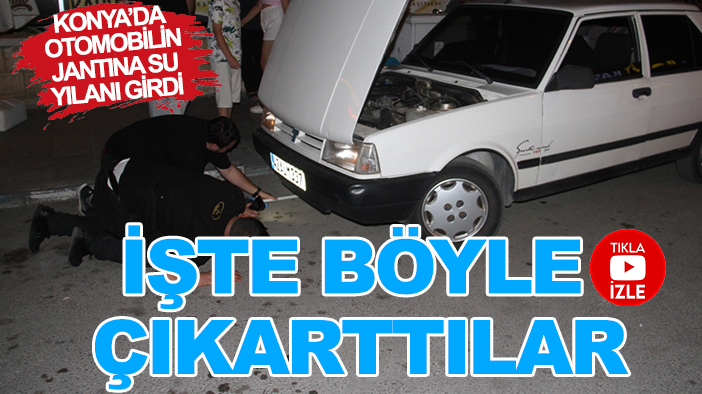 Konya’da otomobilin jantına su yılanı girdi: İşte böyle çıkarttılar