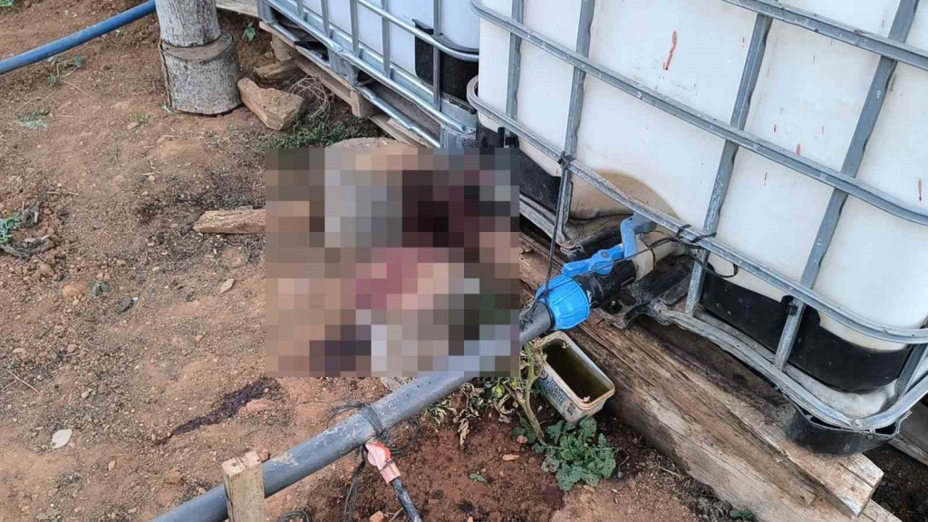 Bahçe sulama kavgası cinayete dönüştü! Birini öldürdü, diğerini yaraladı