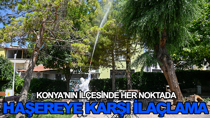 Konya'nın ilçesinde her noktada haşereye karşı ilaçlama