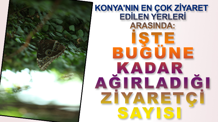 Konya'nın en çok ziyaret edilen yerleri arasında: İşte bugüne kadar ağırladığı ziyaretçi sayısı