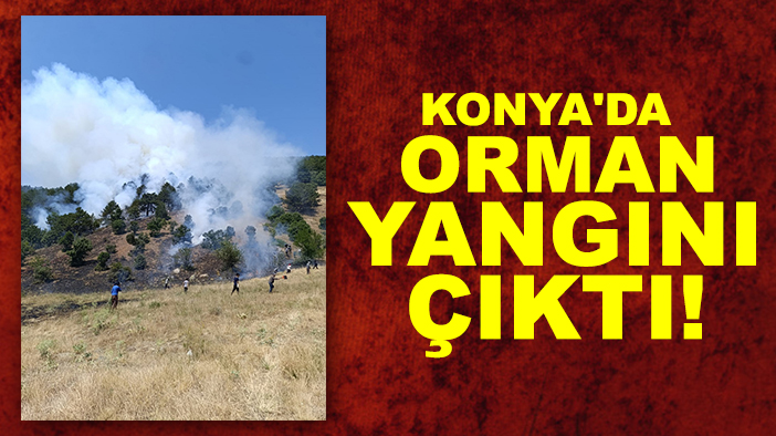 Sondakika: Konya'da orman yangını çıktı! Ekipler müdahale ediyor