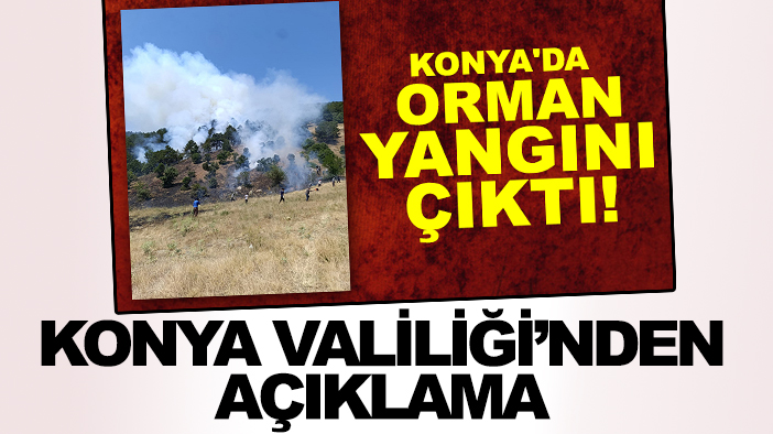 Konya'da orman yangını: Valilik'ten açıklama geldi