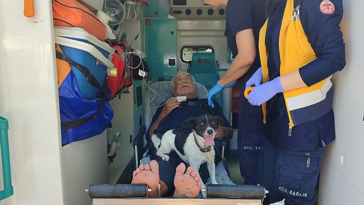 Irmağa düşen yaşlı adamın köpeği başından ayrılmadı