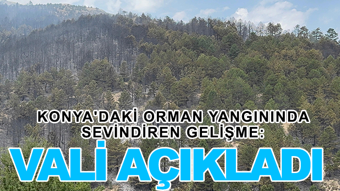 Konya'daki orman yangınında sevindiren gelişme: Vali açıkladı