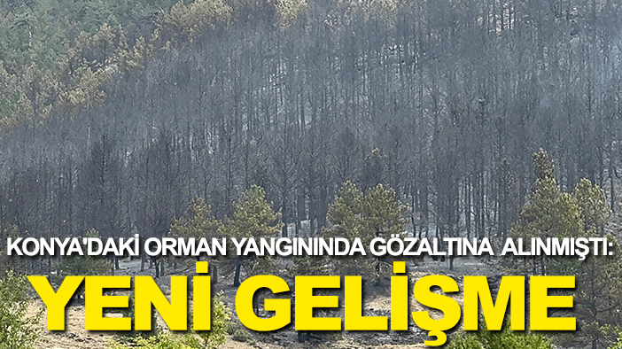 Konya'daki orman yangınında gözaltına alınmıştı: Yeni gelişme