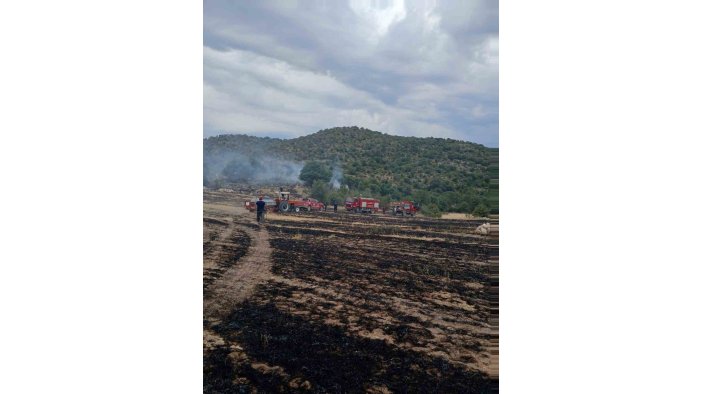 Konya'da anızdan ormana sıçrayan  yangın yürekleri ağza getirdi