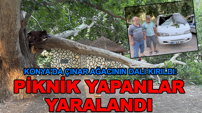 Konya'da çınar ağacının dalı kırıldı: Piknik yapanlar yaralandı