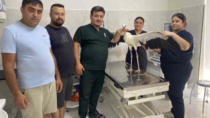 Susuz kalan leylek kurtarıldı